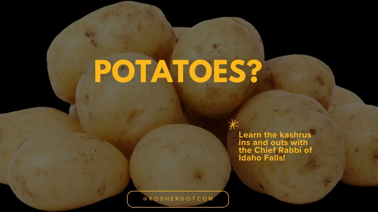 Learn The Halachot Of Potatoes