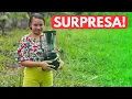 Download Lagu DAIELE RECEBE SURPRESA E SE ENCANTA❤️