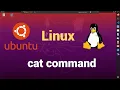 cat command in linux concatenating files in linux viewing files in linux Linux Command Line
