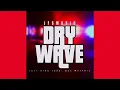 Download Lagu JFS Music - Dry Wave (Official Audio) ft. King Tone \u0026 Soa Mattrix