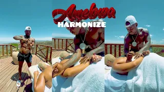 harmonize amelowa official video