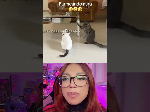 LOS GATITOS FARMEAN AURA SIN NI SIQUIERA INTENTARLO 😭🔥#humor #latialola #funny