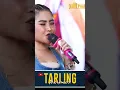 Download Lagu Lagu Cirebonan 2024 #newarnikajaya #tarlingmania #anikarnika #tarling #tarling2024