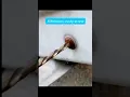 Download Lagu how to remove rusty screw. #lifehacks #shorts