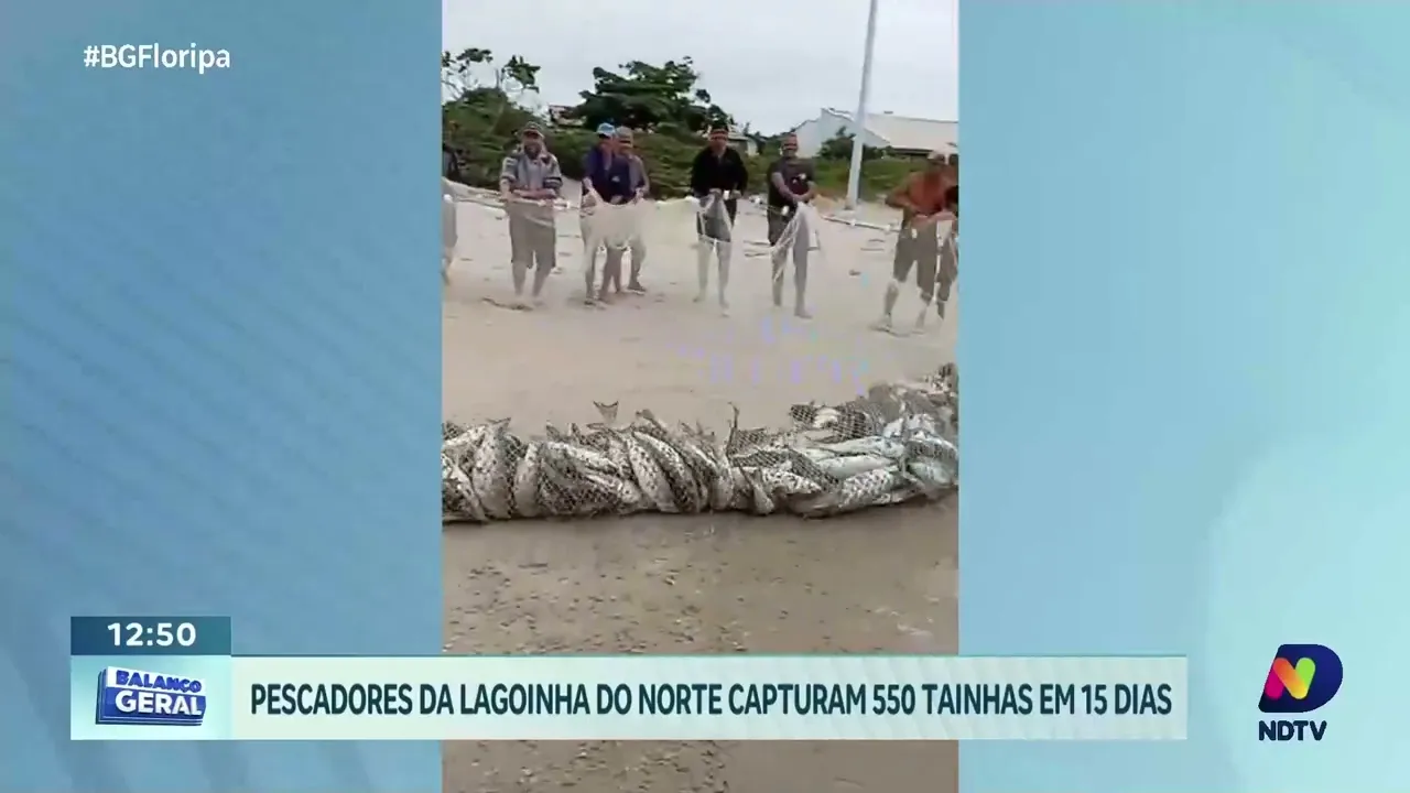 Temporada de pesca da tainha: resultados promissores