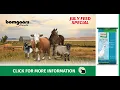 July 2022 - Bomgaars In Store July CF Duck
