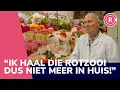 Download Lagu Verboden bestrijdingsmiddelen op bosjes bloemen