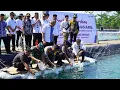 Download Lagu Pj. Bupati Langkat Resmikan Klaster Budidaya Udang Vaname di Desa Pasar Rawa Gebang