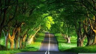 سورة الجن بصوت عبد الرحمن مسعد 