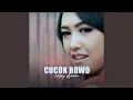 Download Lagu Cucak Rowo