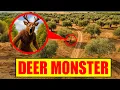 My drone filmed the real monster deer from 99 Nights in real life!