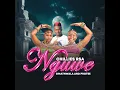 Nguwe
