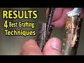 The 4 BEST Grafting Techniques using DORMANT SCIONS RESULTS after 35 days