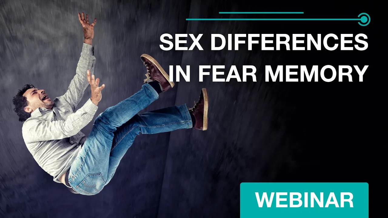Sex Differences in Fear Memory - Webinar