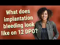 What does implantation bleeding look like on 12 DPO