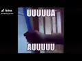 uuuuuaaa aauuuu