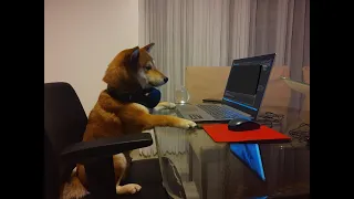 Dorgo Teaches Python 101