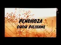 Download Lagu PENDHOZA-DUDU PILIHANE |UN-OFFICIAL LIRIK MUSIK DAN VIDEO