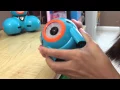 First day with Dot - Wonder Workshop Dash Dot Robot Wonder Pack