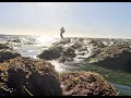 THE LOW TIDE LINE The Biggest Surf Fishing Secret Nobody Talks About