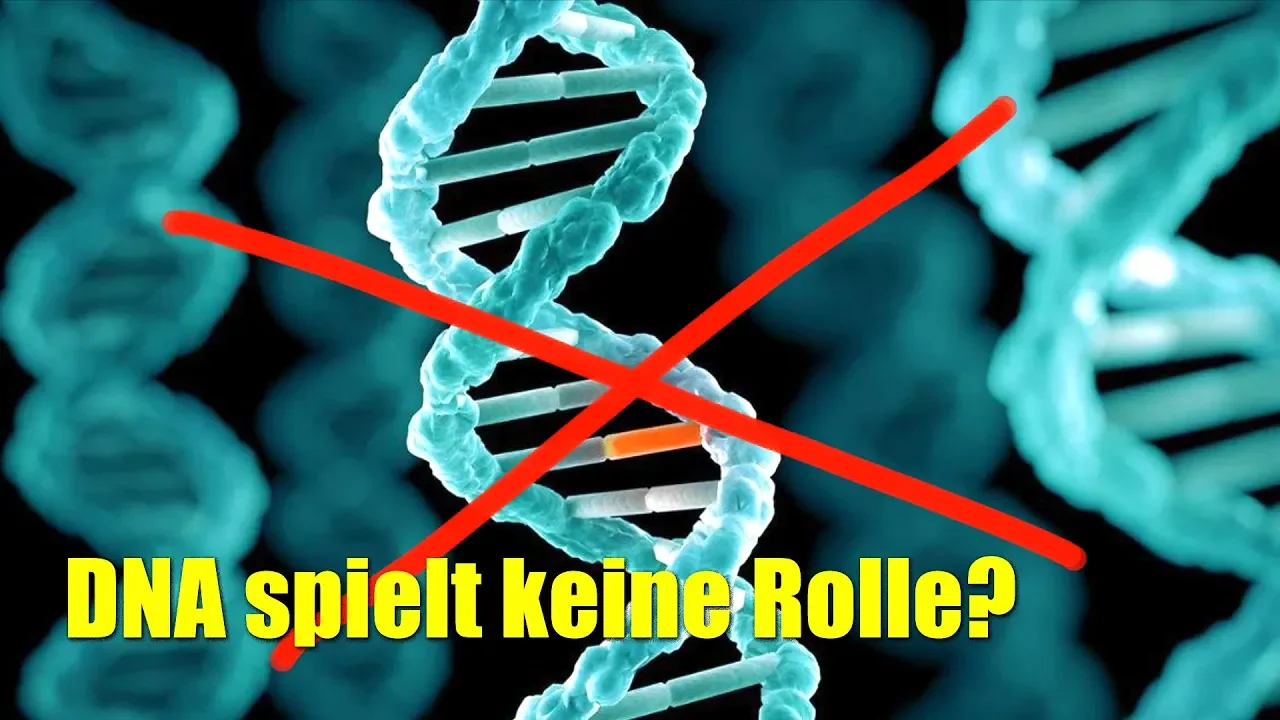 Außer der DNA kodiert etwas Anderes unsere Genetik!