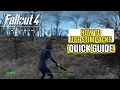 How to Use Stimpacks in Fallout 4 Quick Guide