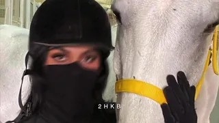 يا حبي أفهم انت الذي مايشبهك بالملا حي مالوم من سماك راشد الماجد 