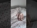SOFTLYFEE code for 15 off Sheets Giggles bedding