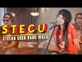 Download Lagu STECU STECU (STELAN CUEK BARU MALU) - 3 PEMUDA BERBAHAYA FT SALLSA BINTAN