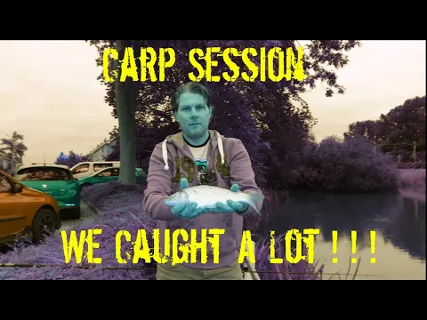 Karper in Noord Holland