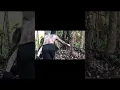 Download Lagu KUNTAU BELADIRI ASLI DAYAK,#shorts