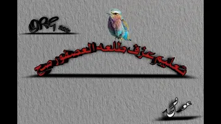 تعليم عزف طلعه العصفور صح   للديشا مصطفى باسط      عزف عوص ٢٠٢١ دندنها