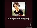 Download Lagu di ujung malam yang sepi cover lia Amelia