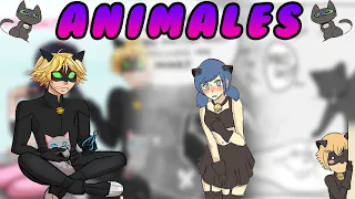 animales miraculous ladybug comic fandub latino adriendub