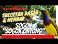 MASTERAN SOGON NRECET NEMBAK JERNIH + TERAPI SUARA AIR MUDAH MASUK MP3 #sogon #masteranburung