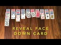 Solitaire Spider Tutorial