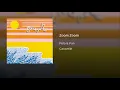 Zoom Zoom - Polo & Pan