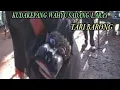 Download Lagu Ebeg banyumasan Tari barong wahyu sadang laras.