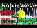 Download Lagu CARA MERAWAT BURUNG SIRTU BAHAN AGAR CEPAT GACOR