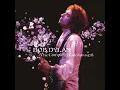 Shelter from the Storm (Live at Nippon Budokan Hall, Tokyo, Japan - February 28, 1978)