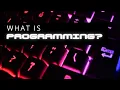 Exploring Programming Languages The Backbone of Modern Technology
