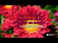 Anne Wilson - Songs About Whiskey [Karaoke Version]