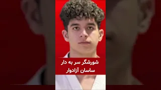 شورشگر سر به دار ساسان آزادوار دندنها