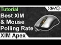 XIM APEX - Best Mouse XIM Polling Rate Tutorial
