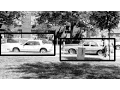 Object Detection using HOG-Linear SVM in Python