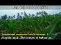 Download Lagu Berbakat Masih Kecil Sholawat Man Ana Laulakum | Sholawat Tanpa Musik Terbaru Merdu