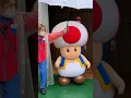 Toad in the Rain