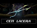 Warframe Weapon Encyclopedia - Ceti Lacera 2021