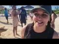 Swimming With the Pigs in The Bahamas Amazing or Overrated
