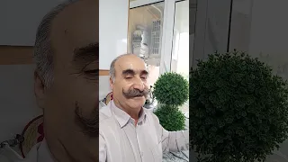 ۱۳ سپتامبر ۲۰۲۵ دندنها